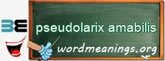 WordMeaning blackboard for pseudolarix amabilis